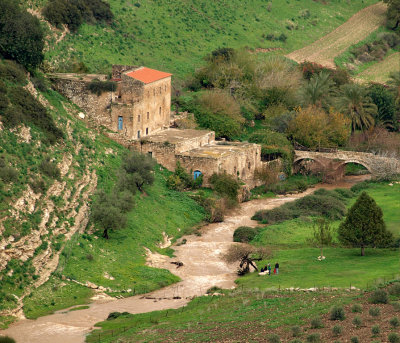 Carmelite Water Mill