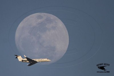 _MG_3707 jet and moon.jpg