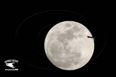 _MG_9725 jet and moon.jpg