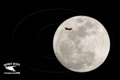 _MG_9732 jet and moon.jpg