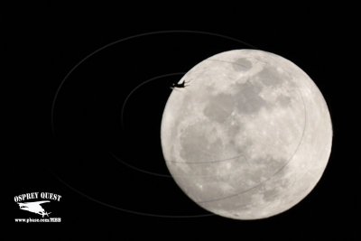 _MG_9734 jet and moon.jpg