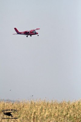 _MG_6185 800.jpg