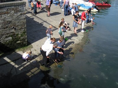 IMG_1242.jpg