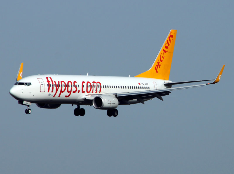 B738 TC-AMP