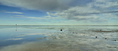 Peel Estuary at low tide