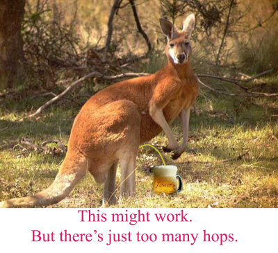 rg Poster Kangaroo.jpg