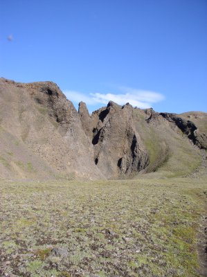 Seljahjallagil