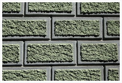 Wall Patterns