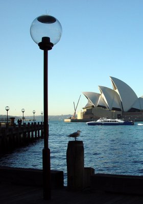 Opera House from Campbell's Cove