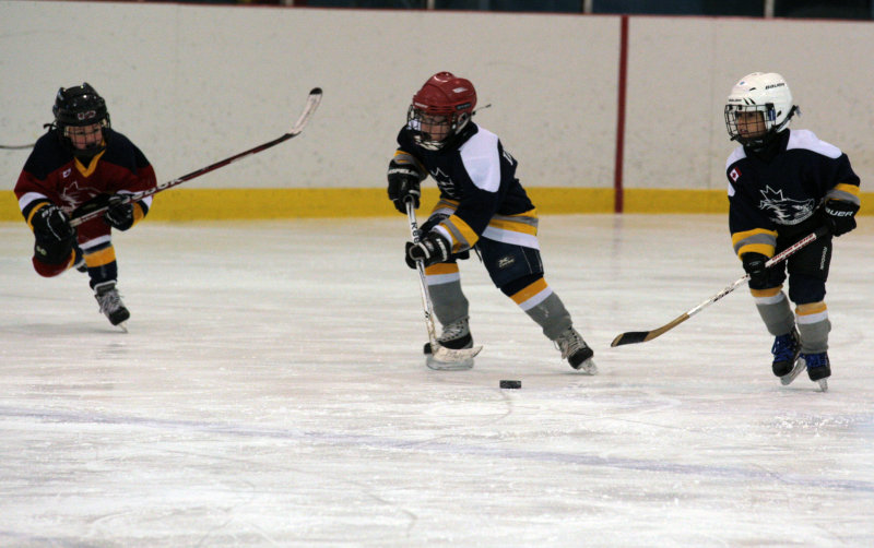 6E2W4846 copy.jpg