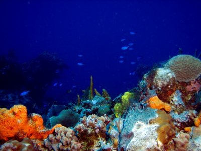 Cozumel - Punta Sur Sur April 22 2013 14.jpg