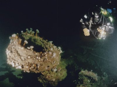 Al Henneberry examines a coil of divers' umbilical located on the starboard quarter of the wreck.