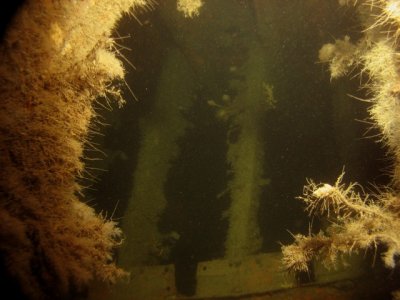 A peek inside the wreck