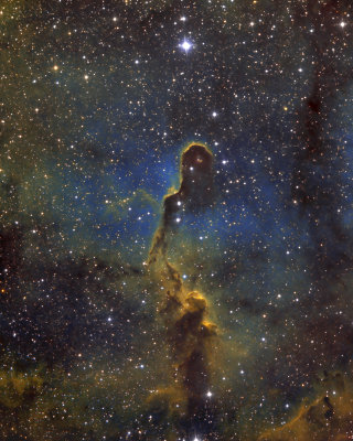 The Elephant Trunk Nebula - vdb 142 (SII-HA-OIII/SBIG ST-8300M)