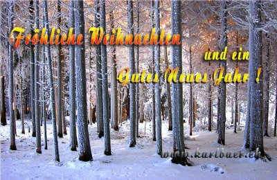 Frohe Festtage! / Seasons Greetings