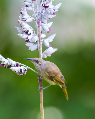 DSC_1921.jpg