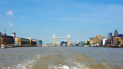 DSC_0396.jpg