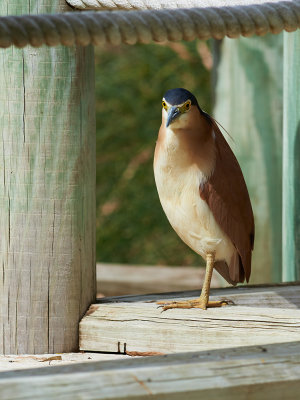 DSC_1953.jpg