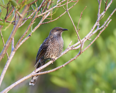 DSC_4918.jpg