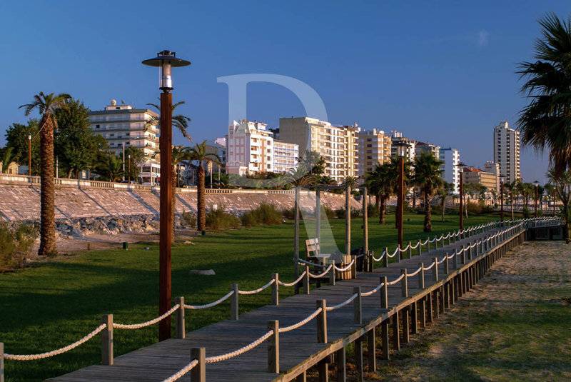 Figueira da Foz