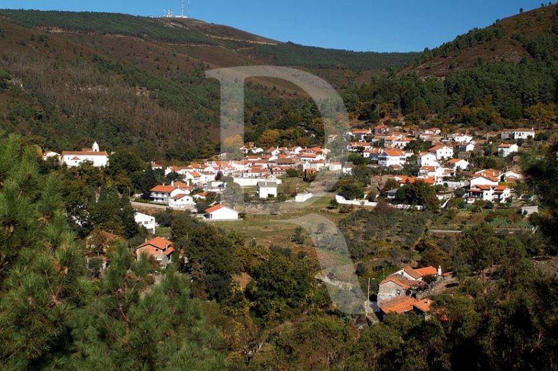 Coentral
