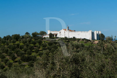 Castelo de Fontalva (IIP)