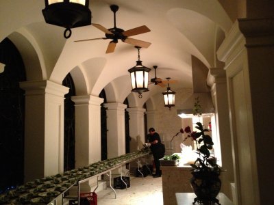 IMG_6863.jpg