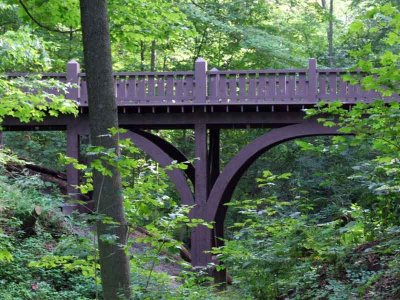 A Woodland Bridge