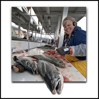 Coho