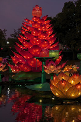 Chinese Lanterns