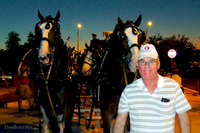 November 2012 - Don Boyd with his beloved Budweiser Clydesdale horse team out of Merrimack, New Hampshire