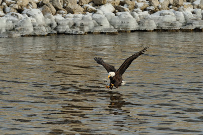 DSC_6100.jpg
