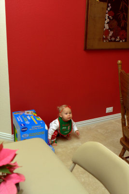 IMG_9643.jpg