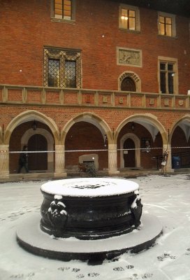 THE OLD JAGIELLONIAN UNIVERSITY COURTYARD  .  1