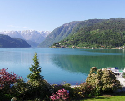 Hardangerfjord View