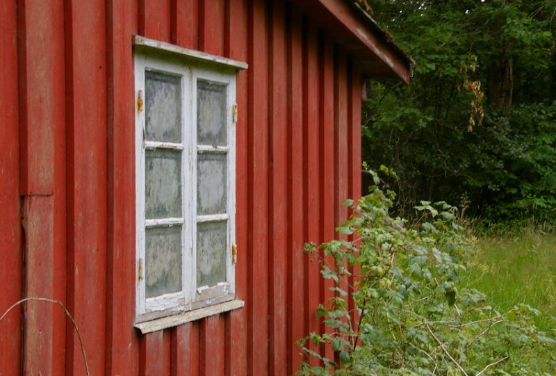 House in the forest