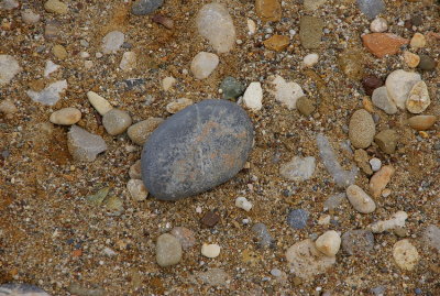 On the beach