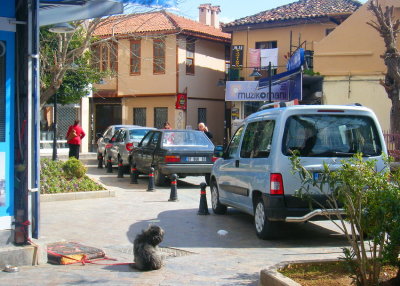 Waiting for the owner