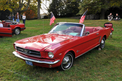 1965 Ford Mustang with 289 cid V8 (8204)