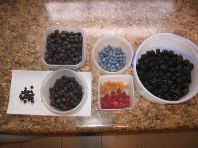 IMG_6907.JPG