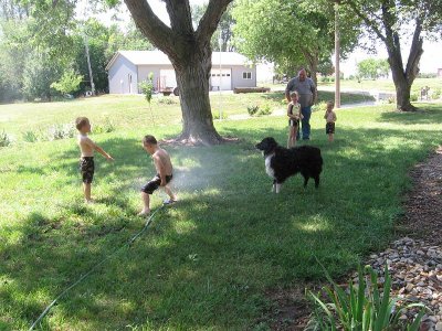 IMG_6954.JPG
