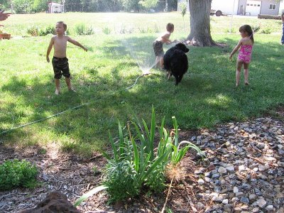 IMG_6956.JPG