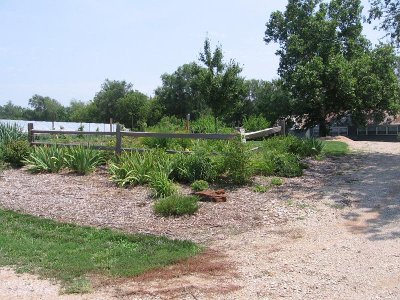 IMG_6988.JPG