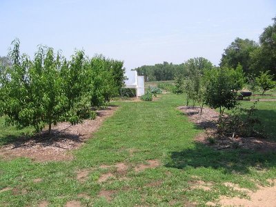 IMG_6994.JPG