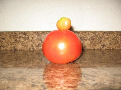 IMG_7213.JPG