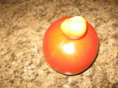 IMG_7214.JPG