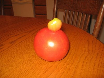 IMG_7216.JPG