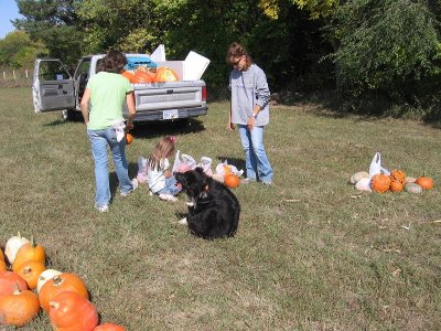 IMG_7260.JPG