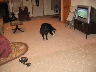 IMG_7284.JPG