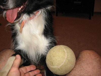 IMG_7285.JPG